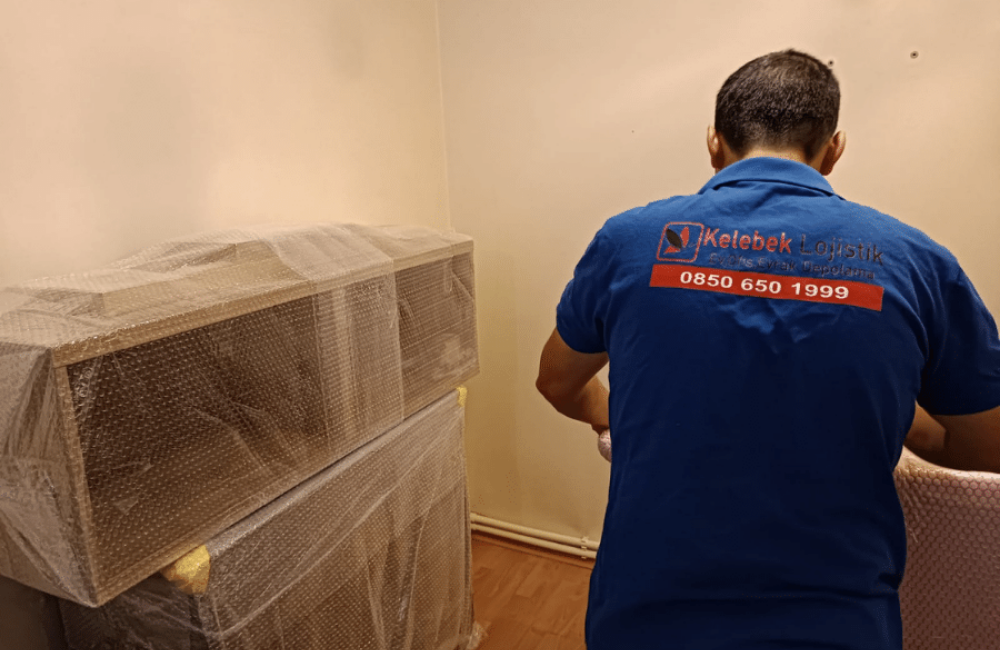 Narin varlıklar için paketleme sistemleri Bebek Lojistik